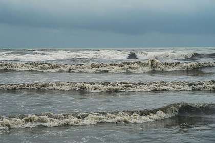 Загадочную находку на берегу острова сравнили со сценой из фильма ужасов