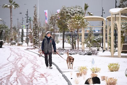 В Сочи выпадет снег
