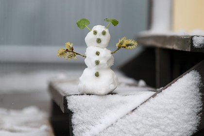 Названа причина апрельских заморозков в Москве