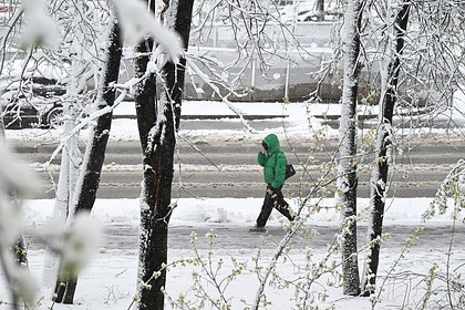 В России оценили возможность штрафа за опоздание на работу из-за непогоды