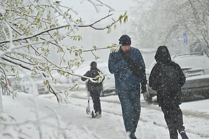 Москвичам назвали продолжительность «нешашлычной» погоды