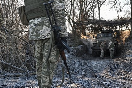 В США оказались ошеломлены заявлением сенатора об Украине