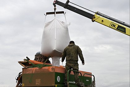 Россия резко нарастила поставки ключевой агрокультуры в Китай
