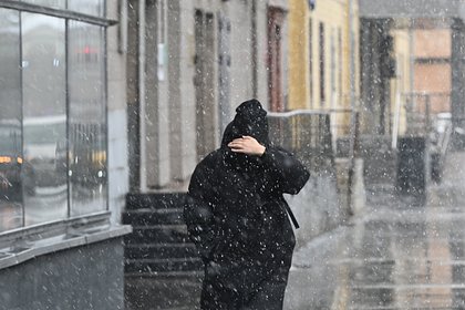 Вероятность снегопадов в Москве оценили