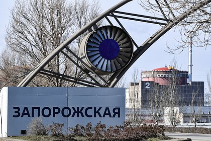 Директор ЗАЭС прокомментировал судьбу станции фразой про два руля у машины