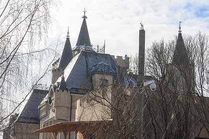 Галкин переписал часть замка в Грязи на детей