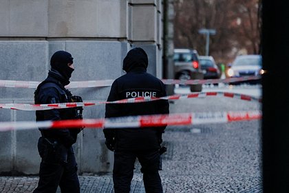 Мать скормила собакам новорожденного
