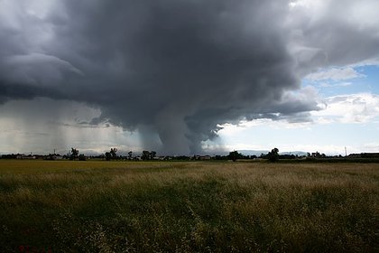 В российском регионе ввели режим ЧС после смерча