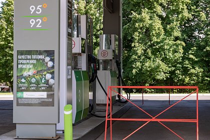 В Госдуме необычно высказались о причинах нехватки бензина в России