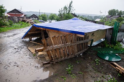 Унесенный смерчем пес вернулся к хозяину в Свердловской области