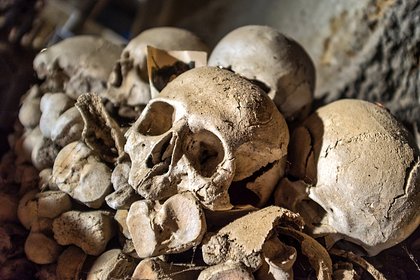 В школьном дымоходе нашли таинственные останки