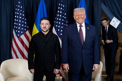 Предсказан исход переговоров Трампа и Зеленского