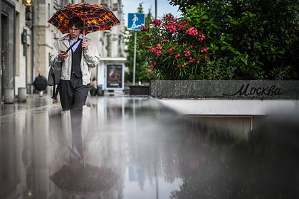 Москвичей призвали не рассчитывать на комфортное лето