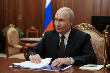 Артемий Лебедев обратил внимание на тонкий юмор Путина в отношении Трампа