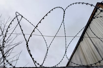 Шурыгина восхитилась едой в СИЗО