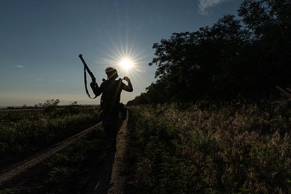 Попытка поймать собственный дрон обернулась для ВСУ фиаско
