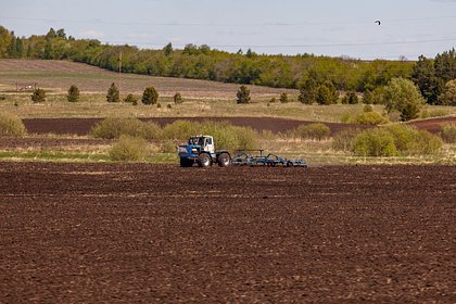 В российском селе пожаловались на зловоние от затопленного фекалиями поля
