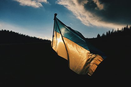 На Украине оценили социальную ситуацию словами «государству до лампочки»