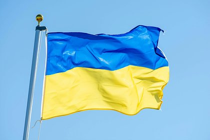 Украинский экономист объяснил невозможность победить коррупцию в стране