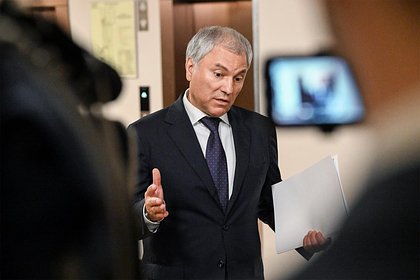 Володин заявил о тысячах прекращенных гражданств мигрантов в России