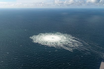 Подозреваемого в подрыве «Северных потоков» задержали