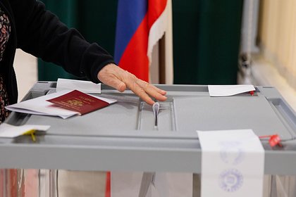 В России отреагировали на давление стран Балтии на россиян перед выборами в Госдуму