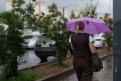 Москвичей предупредили о дожде 1 сентября