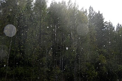 Часть россиян предупредили об опасности