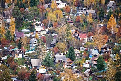 Дачников призвали срочно закопать урожай