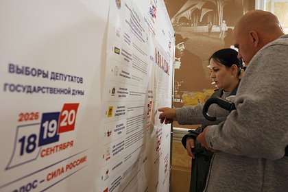 Стало известно о планах ЕС заранее не признать выборы в России