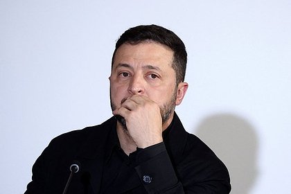 Украинский историк выступила с мрачным посланием для Зеленского