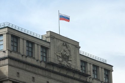 Депутат Госдумы раскрыла содержание «депутатского портфеля»