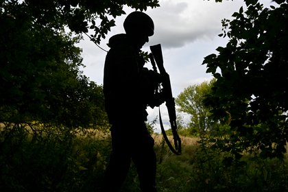 Боец СВО написал повлиявшее на изменения в рядах Российской армии письмо Путину