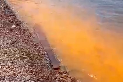 Неестественный цвет морской воды во Владивостоке сняли на видео